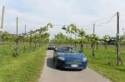Le Jaguar nella zona del Prosecco e Cartize (130/152)